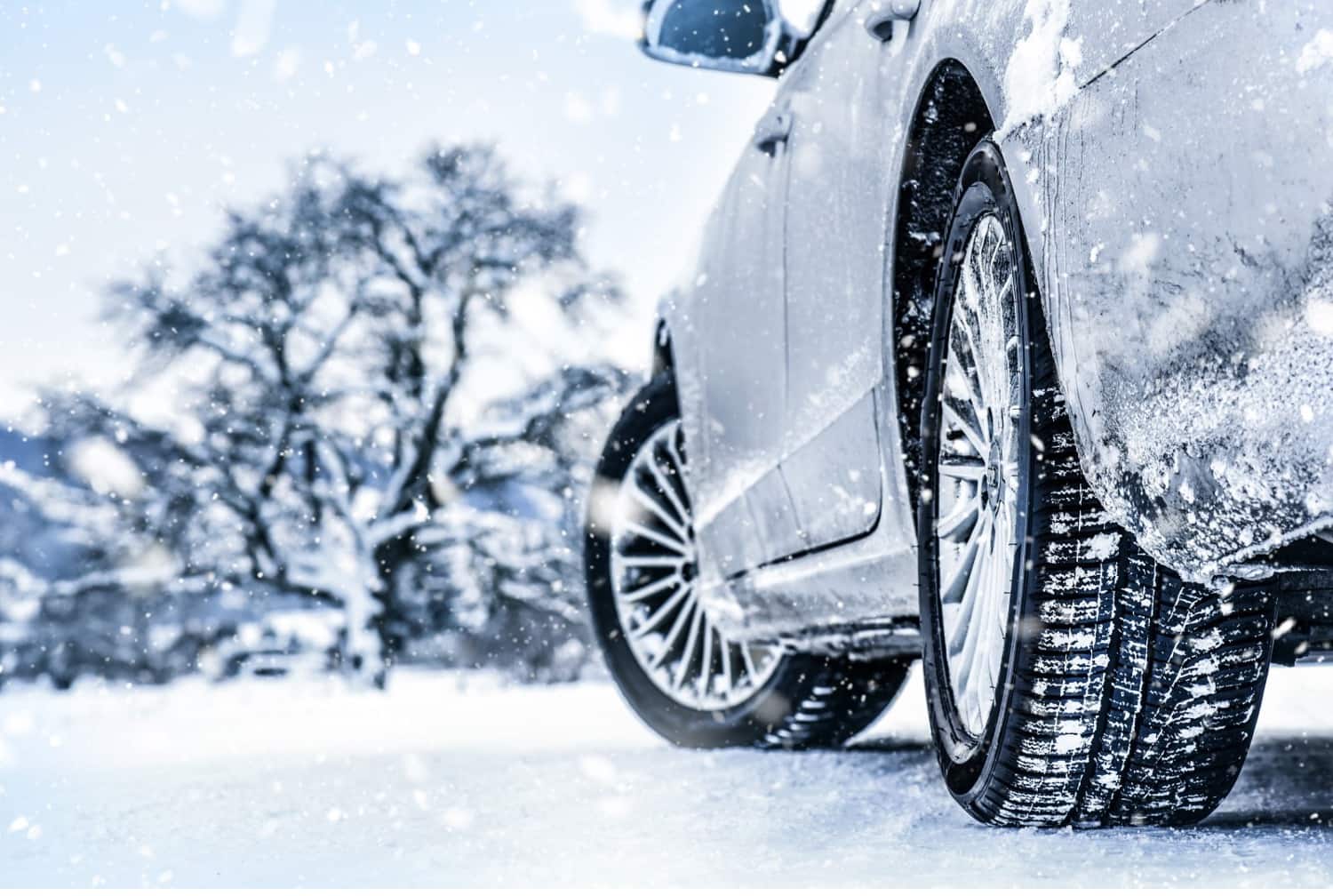 Chris Fix 5 Step Car Cleaning Basics Advance Auto Parts